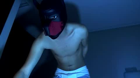 Snapshot of zamiruriel69 chatting on October 2025 06:03:01 AM zamiruriel69 online show from October 2025 06:03:01 AM