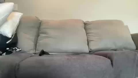 Zane D online show from October 2025 03:54:01 PM