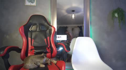 Snapshot of zanty2308 chatting on November 2025 05:09:01 AM Tiiago Mallz online show from November 2025 05:09:01 AM