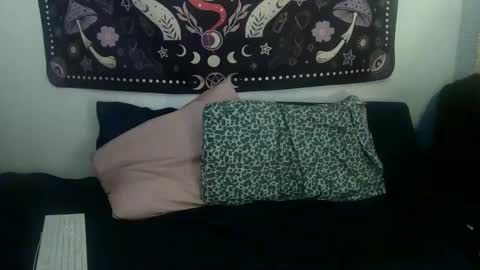 Zelda online show from January 2025 01:24:01 AM