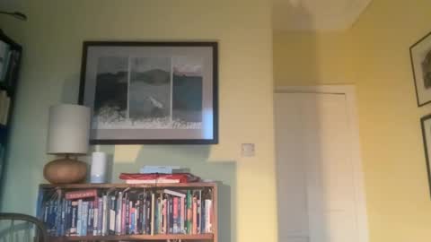 zephr1 online show from December 2024 02:39:02 PM