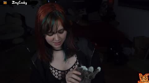 Snapshot of ziny_cosky chatting on February 2025 01:55:01 AM Ziny Cosky online show from February 2025 01:55:01 AM