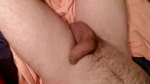 Snapshot of zobzob67 chatting on February 2025 02:24:01 PM Tom online show from February 2025 02:24:01 PM