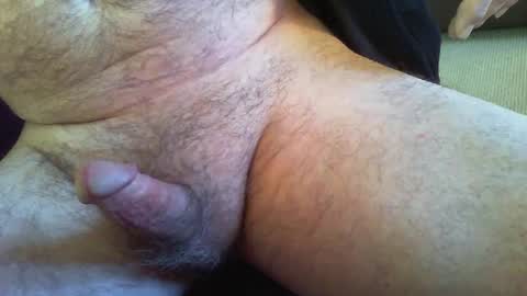 zokalo online show from January 2025 10:52:02 AM