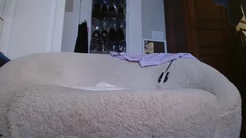 zymase online show from January 2025 11:27:02 PM