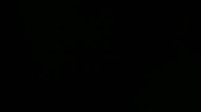 Z-O-E-Y online show from January 2025 07:10:01 AM