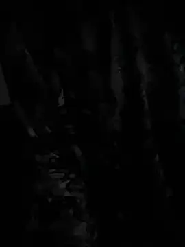 demonslayerr999 online show from December 2024 06:33:01 AM