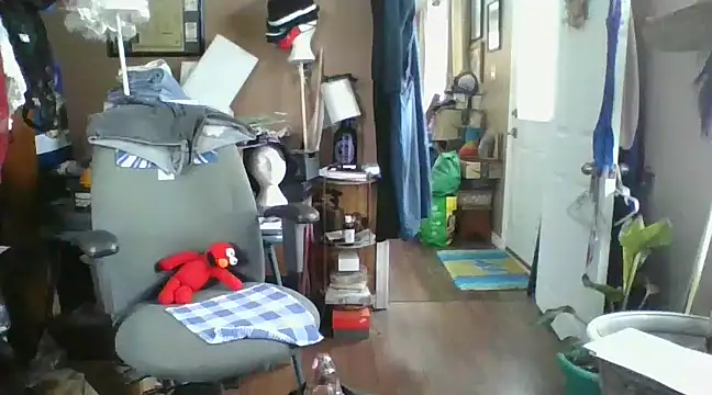 Daremeknot online show from December 2024 03:28:02 PM