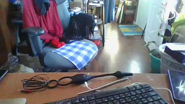 Daremeknot online show from December 2024 02:55:01 PM