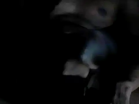 GRATEFUL16 online show from February 2025 07:40:02 PM