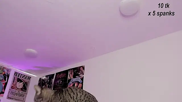 Snapshot of Sachi_Meow chatting on October 2025 12:00:02 PM Sachi Meow online show from October 2025 12:00:02 PM