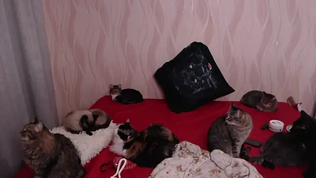 Olivia Winston online show from December 2024 09:40:02 PM