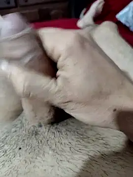 Snapshot of quierodarleche69 chatting on October 2025 02:01:02 AM quierodarleche69 online show from October 2025 02:01:02 AM