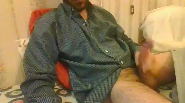 Snapshot of tozebrito_hd chatting on February 2025 01:27:01 PM tozebrito hd online show from February 2025 01:27:01 PM