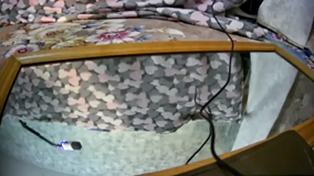 Snapshot of Kai_and_you chatting on November 2025 12:21:02 AM Kai and you online show from November 2025 12:21:02 AM