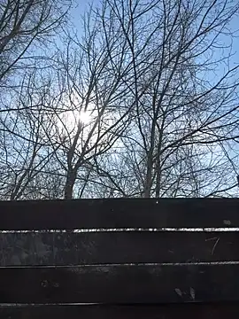 leila beayte  online show from March 2025 11:40:02 AM