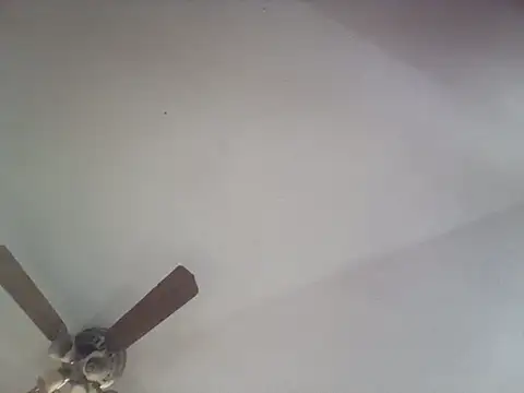 Snapshot of SexyB214 chatting on October 2025 11:55:01 PM SexyB214 online show from October 2025 11:55:01 PM