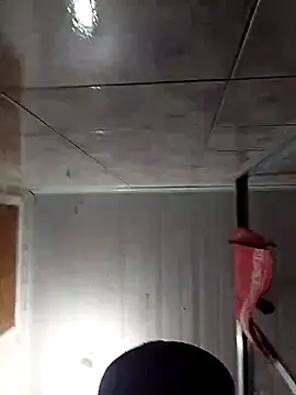 Adee21e online show from November 2025 08:47:01 PM