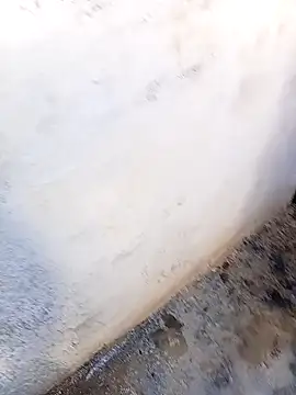 rau 4455 online show from November 2025 11:10:01 AM