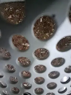 Snapshot of SexyErola27 chatting on December 2024 11:11:02 AM SexyErola27 online show from December 2024 11:11:02 AM