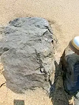 Snapshot of SexyErola27 chatting on February 2025 10:51:02 AM SexyErola27 online show from February 2025 10:51:02 AM