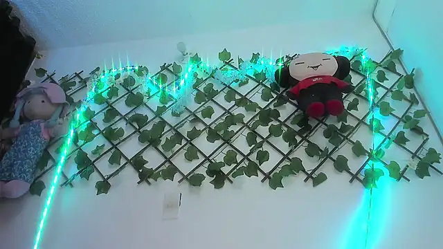 Pucaa  online show from December 2024 01:37:02 AM