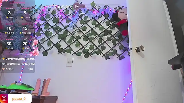 Pucaa  online show from December 2024 04:53:02 AM