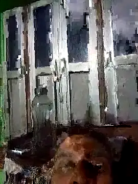 Snapshot of Nkumar173 chatting on October 2025 04:41:01 PM Nkumar173 online show from October 2025 04:41:01 PM