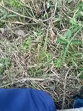 Snapshot of Nkumar173 chatting on November 2025 11:54:01 AM Nkumar173 online show from November 2025 11:54:01 AM