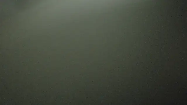 Snapshot of Armyexhibitionistvet chatting on October 2025 11:35:01 PM Armyexhibitionistvet online show from October 2025 11:35:01 PM