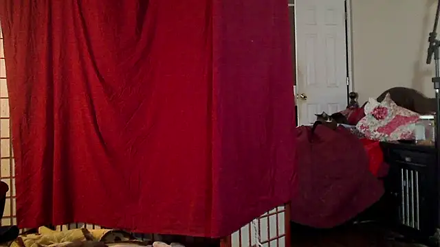 Ireallysquirt online show from January 2025 07:28:01 AM