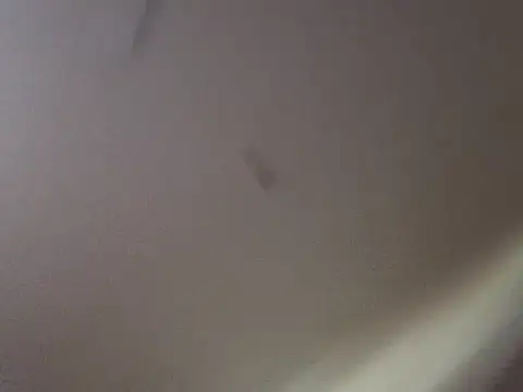 Gin4Cole online show from September 2025 11:52:01 PM