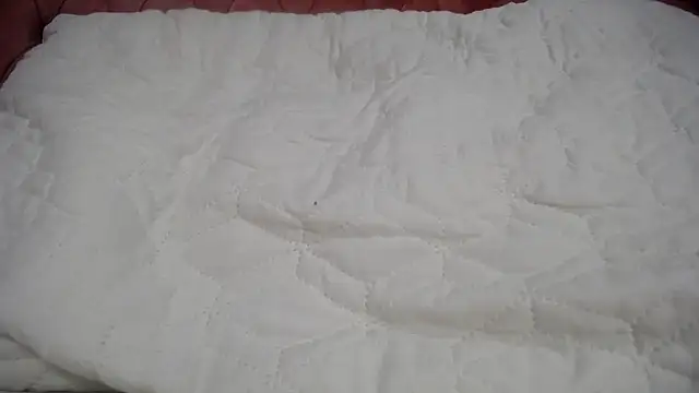 Snapshot of RACHELL__HOT chatting on February 2025 09:49:01 PM RACHELL HOT online show from February 2025 09:49:01 PM