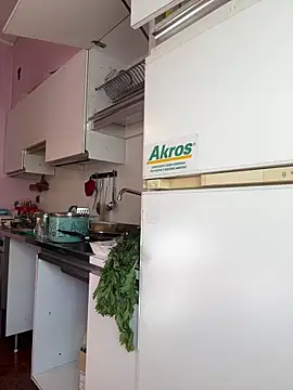 Sunbelxx online show from November 2025 08:46:01 AM