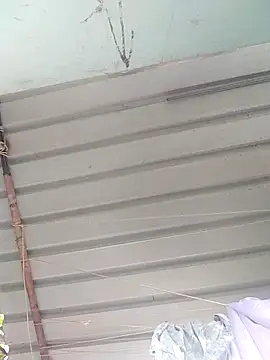 Mafiya1604 online show from September 2025 04:17:01 AM