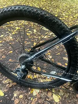 Shyboy817 online show from October 2025 02:50:02 PM