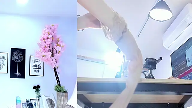 Siouxsie cenobite online show from October 2025 11:47:01 AM