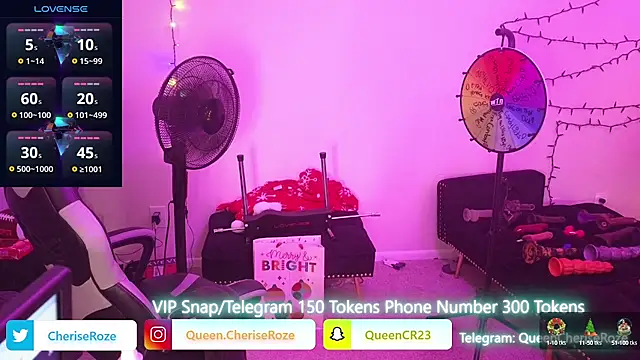 Snapshot of cheriserozequeen chatting on December 2024 10:25:02 PM cheriserozequeen online show from December 2024 10:25:02 PM