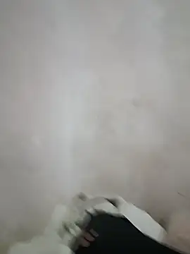 Snapshot of LuisXxH chatting on December 2024 02:27:01 PM LuisXxH online show from December 2024 02:27:01 PM