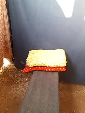 Snapshot of Burhade-- chatting on October 2025 11:31:01 AM Burhade-- online show from October 2025 11:31:01 AM