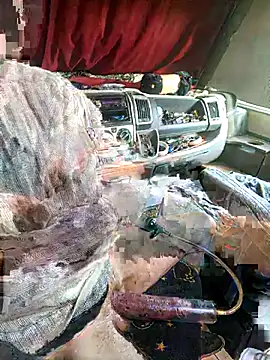 Snapshot of richa22cm chatting on November 2025 02:17:01 PM richa22cm online show from November 2025 02:17:01 PM