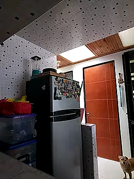 Snapshot of Mariam_Gomezxxx chatting on October 2025 03:53:01 PM Mariam Gomezxxx online show from October 2025 03:53:01 PM