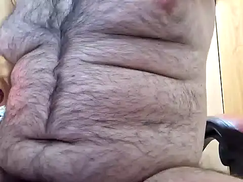 Javier bear online show from December 2024 11:07:01 AM
