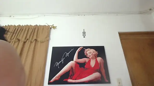 seleneh online show from December 2024 03:49:02 AM