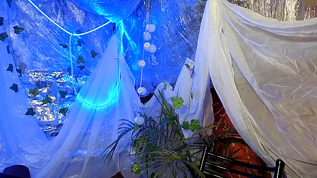 Jony Marta online show from October 2025 02:51:02 PM