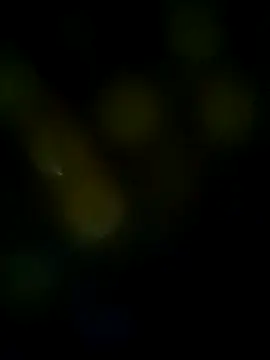 LongDickZee562 online show from March 2025 10:11:02 AM