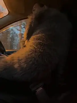 Snapshot of StasyWood chatting on November 2025 02:02:01 AM StasyWood online show from November 2025 02:02:01 AM