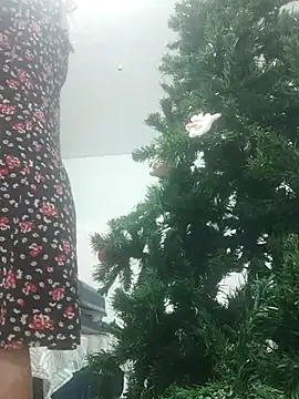 Snapshot of VitaIity chatting on November 2025 10:32:02 PM VitaIity online show from November 2025 10:32:02 PM