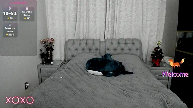 Snapshot of rocky_foxy chatting on January 2025 01:00:01 AM rocky foxy online show from January 2025 01:00:01 AM