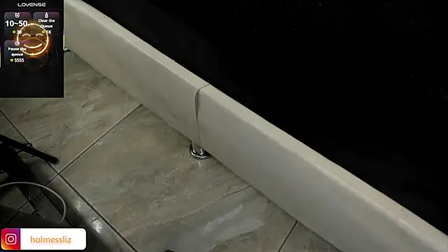 Snapshot of LIZ_HOLMES chatting on February 2025 12:06:01 PM LIZ HOLMES online show from February 2025 12:06:01 PM